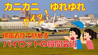 【大阪伊丹空港】パイロットの瞬間芸術　横風強くても飛行機はこうやって着陸します