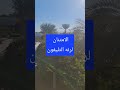 الامتنان لر نه التليفون 