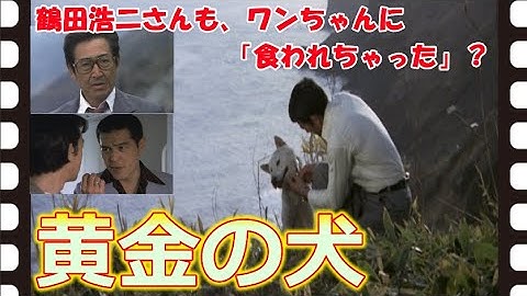 【ゆっくり旧作映画解説】  黄金の犬