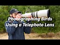 Bird Photography With Telephoto Lenses: Finding Wildlife Faster in Camera Viewfinder
