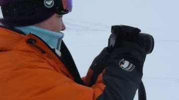 Emperor penguins close encounter