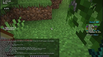 Creating a team on donut SMP