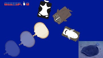 Pancake Fish (Atlantic Torpedo) Kills Everyone In Pearl Defense (Deeeep.io Gameplay)