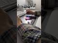 [멸치 백수 일기 61] 집순이의 알차지 못한 주말 브이로그