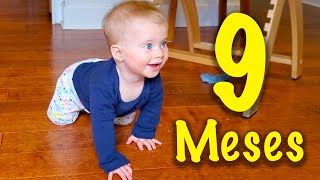 9 Month Old Baby Development | Lorena Vargas Physical Therapist