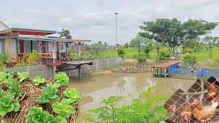 อยู่บ้านทำนาทำสวนผสมผสานสร้างแหล่งอาหารสร้างความสุขอยู่อย่างเรียบง่าย