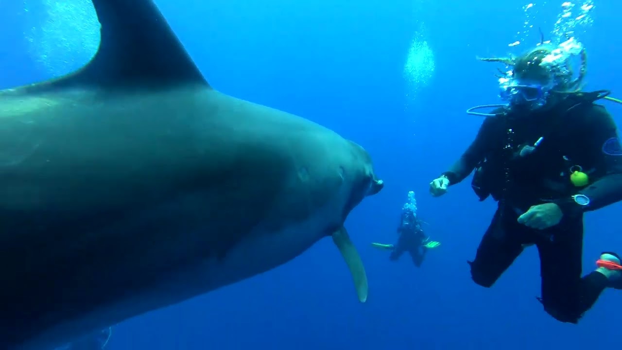 Polynésie Eté 2025