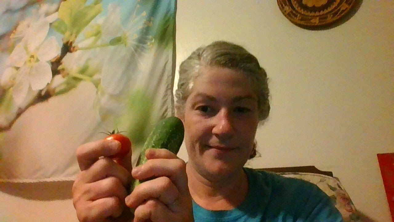 Abundance & Disaster in Our South Texas Garden Tomato Plant Virus