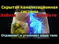 Эта скрытая канализационная система – главная причина вашей отечности, целлюлита и усталости!