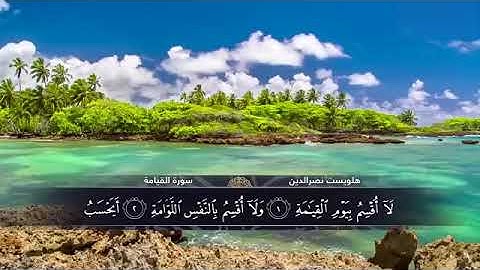القرآن الكريم القارئ هلويست نصر الدين الكردي   سورة القيامة