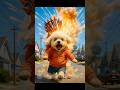 🐶🐱 The War Between Dog and Cat 💥🔥