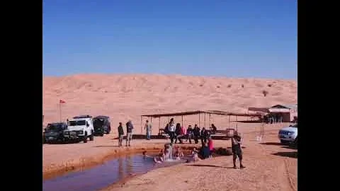 Quante oasi ci sono nel deserto del Sahara?