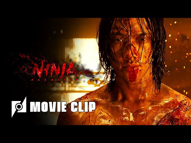 Ninja Assassin: Raizo vs Ninja's 