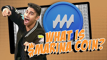 What Makes $MARINA Token a Game-Changer for DeFi Privacy? | Meme Minute