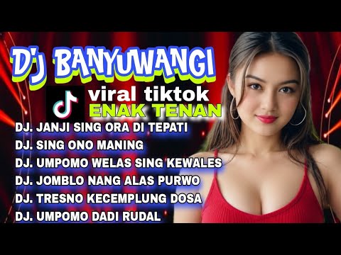 DJ BANYUWANGI VIRAL TIKTOK || JANJI SING ORA DI TEPATI || ENAK TENAN
