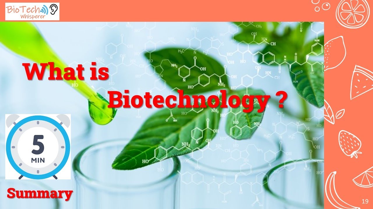 What is Biotechnology Explained in 6 Min YouTube