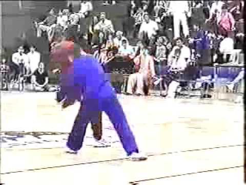 Tai Chi pushing hands "Tuishou" ( push hands )