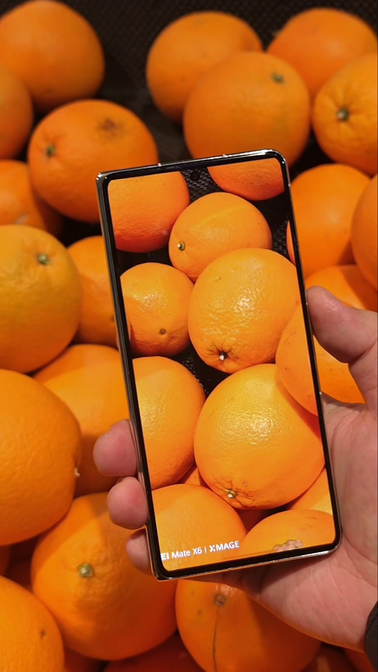 Give me a chance and let me show you the power of Red Maple's native image! Huawei Mate70 MateX6 is