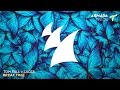 Tom Fall feat. Laces - Break Free (Radio Edit)