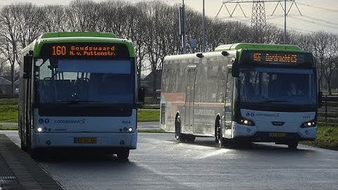 Buses at Heinenoord Busstation | 25-01-2025