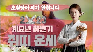 미리 알아보는 '2023년 계묘년' 쥐띠의 상반기 총 운세!