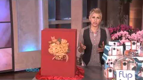 The Audience Gets a Big Birthday Surprise