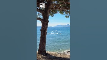 وَنُنَزِّلُ مِنَ الْقُرْآنِ مَا هُوَ … #فارس_عباد الآية 82 من سورة الإسراء