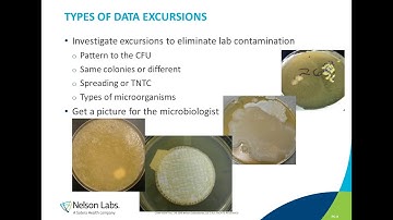 Microbiological Control in a Pharmaceutical Manufacturing Environment