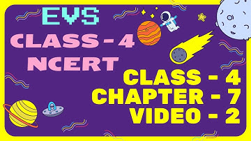 NCERT -  EVS, CLASS - 4, Chapter -7 (From The Window) Video - 2