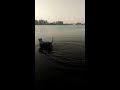 Irish soft coated wheaten terrier - aka shark の動画、YouTube動画。