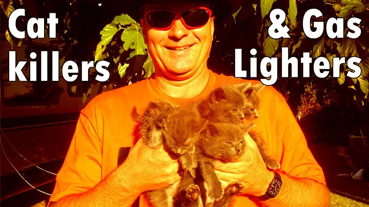 Scientology Inc recurring stories of pets being ki...