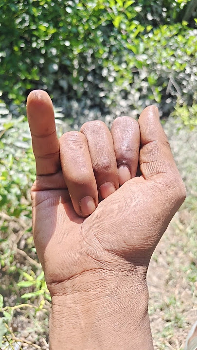 Asian beetles you've neverseen#anyuniqueanimals #beetle#insects#beautifulinsects #nature#wildliFes🌱🪳