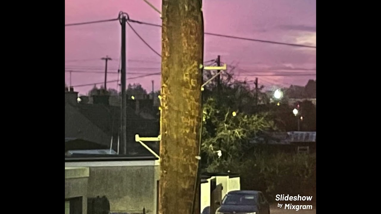 Artist : Nigel Mc Clements