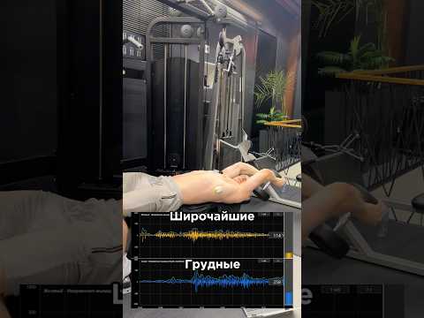 За персональным планом тренировок/питания обращаться в телеграмм :@TrainerSmirnoVV
