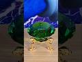 Exploring the Master Emerald from Sonic in REAL LIFE