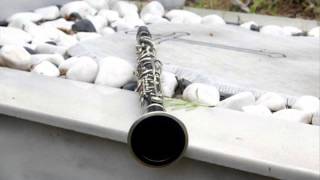 Download lagu vasilis saleas klarino xoreutiko vasilis saleas klarino xoreutiko