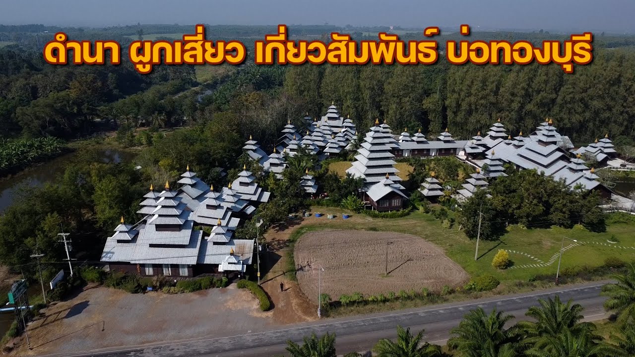 ดำนา ผูกเสี่ยว เกี่ยวสัมพันธ์ บ่อทองบุรี จ.ชลบุรี