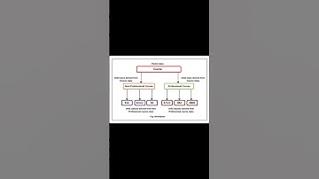 Inheritance #javatutorial #music #phonk