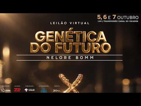 LOTE 06   NJMP 11807