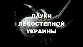 Олег Пожаров. Пауки лесостепной Украины  Ч.  1. - Энтомология, арахнология.