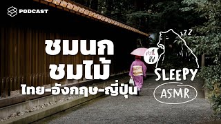 ASMR | ชมนก ชมไม้: ไทย-อังกฤษ-ญี่ปุ่น (Japan Rain Forest V.) | คำนี้ดี SLEEPY EP.21 screenshot 3