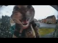 One Hour Of Silence Occasionally Broken Up By A Cat Meowing Into A Doorbell Camera