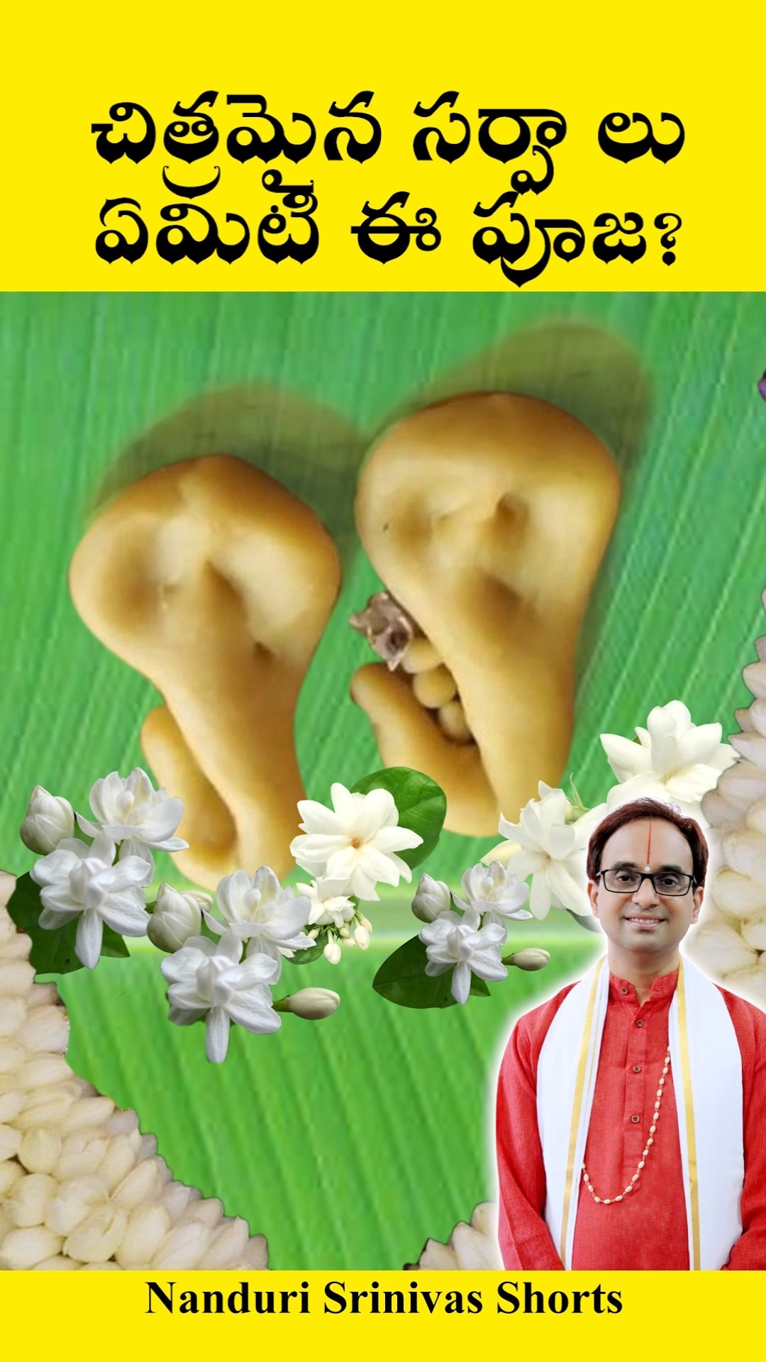 సర్పాలతో చేసే పూజ | What is this Sarpa samskara pooja? | Nanduri Srinivas