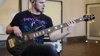 The Hirsch Effekt - &quot;Bezoar&quot; Playthrough: Bass