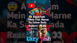 😨 Aquarium Mein Fish Marne Ka Sabse Bada Reason! 😱👀 #shorts #aquariumfish #viral #fish #reason