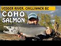 These COHO SALMON Are Hard to Catch! Vedder River 2020 Salmon Season | Fishing with Rod