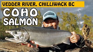 These COHO SALMON Are Hard to Catch! Vedder River 2020 Salmon Season | Fishing with Rod