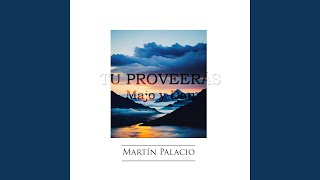 Tu Proveerás - Martín Palacio