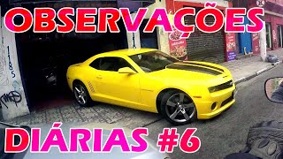 Observações Diárias #6 - Grau, Pau no Camaro e Foge Mulher Maravilha