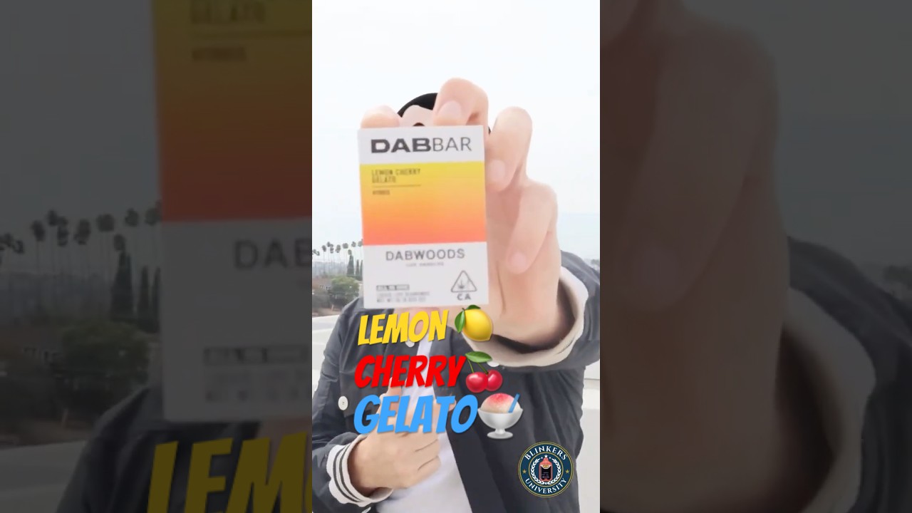 DABWOODS DABBAR Blinker & Review